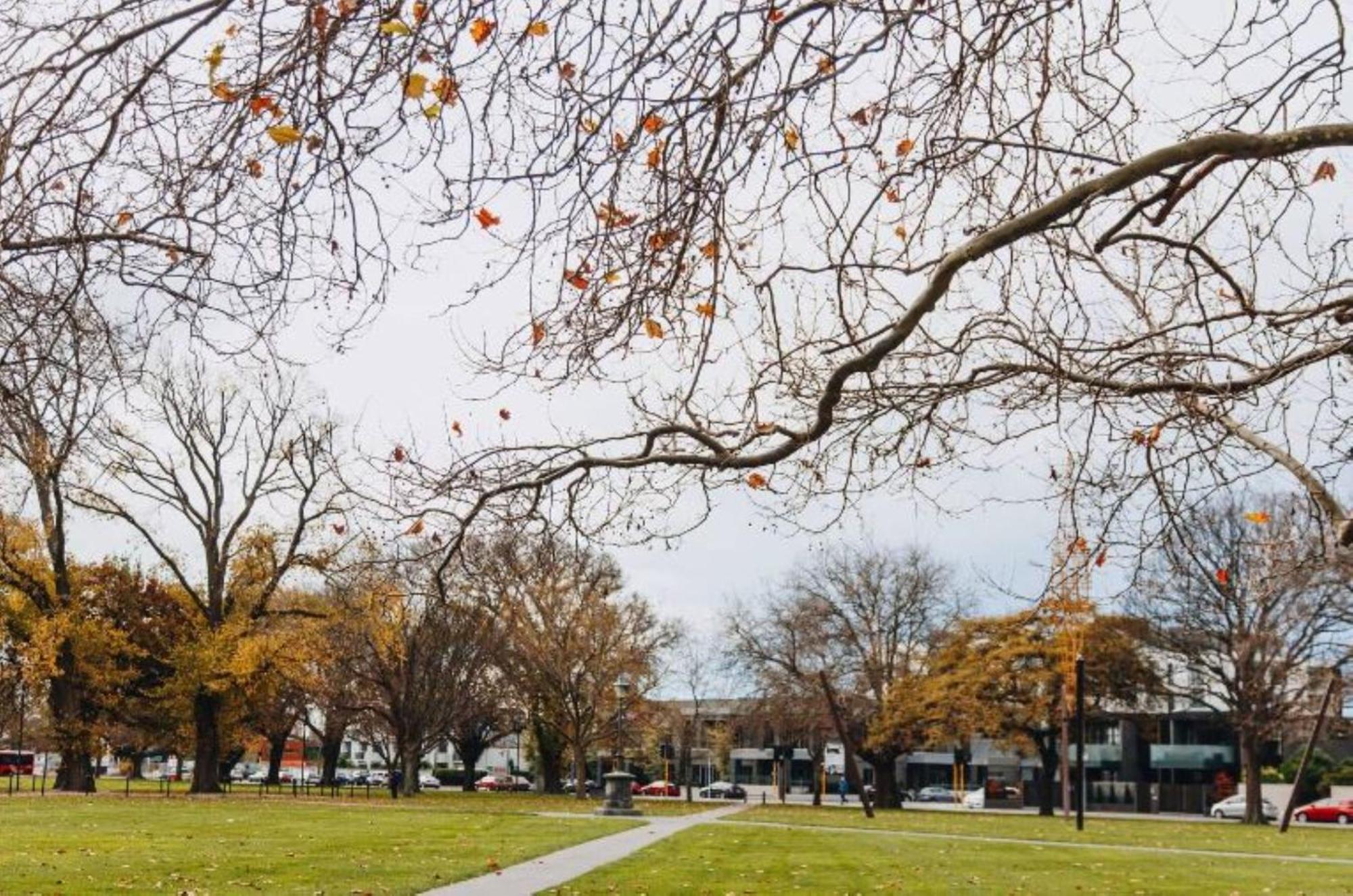 Inner City Delight Walk To Cathedral Square Christchurch Luaran gambar